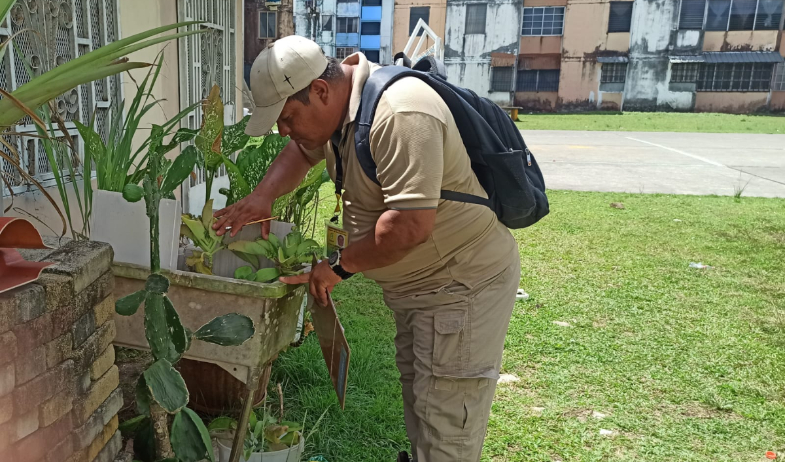 ¡Dengue, malaria y leishmaniasis en aumento! Minsa actualiza cifras de enfermedades en el país 