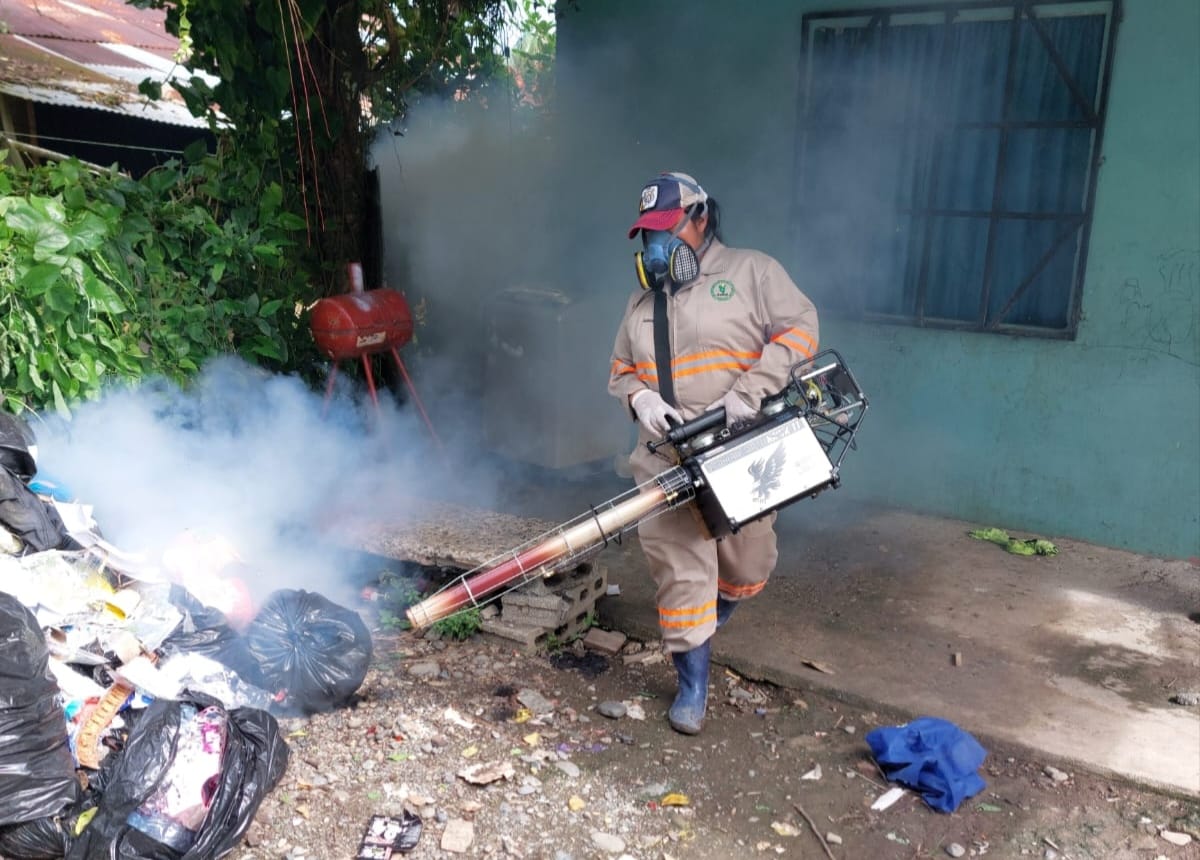 Autoridades intensifican operativos contra el dengue a nivel nacional; van 50 defunciones 