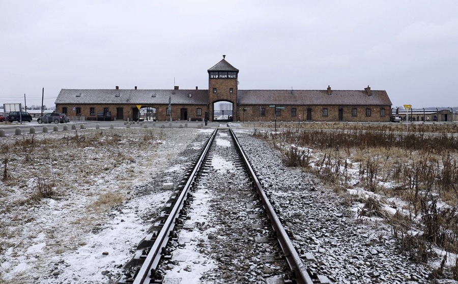 80 años de la liberación de Auschwitz: el infierno que se vivió en el campo, a través de la cultura 