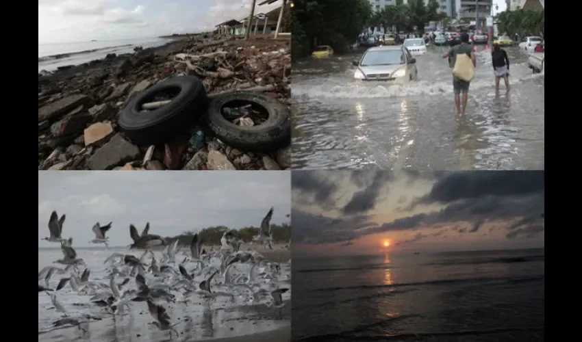 El clima pasa factura ahora y en el futuro. Roberto Barrios 