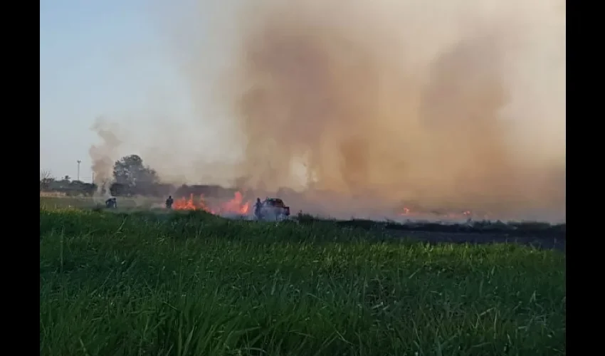 Foto ilustrativa del área del incendio. 