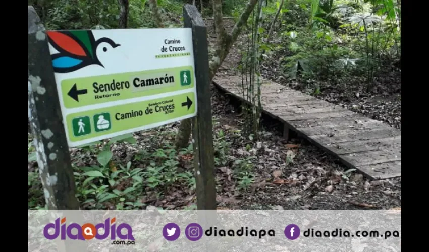 Parques deben estar listos en 180 días. Foto: Cortesía