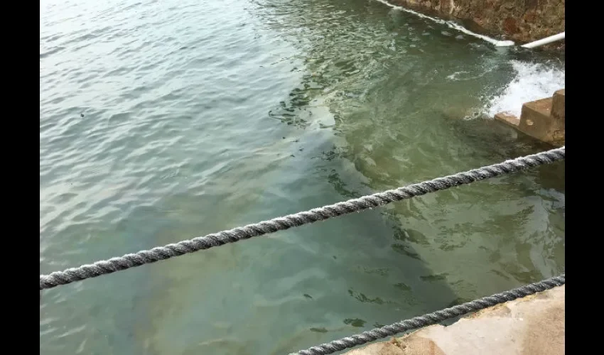 La isla queda a pocos minutos de la ciudad de Panamá. Foto: Cortesía