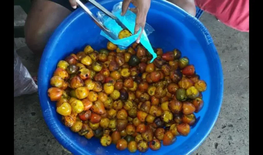 Un fruta barata y deliciosa que se vende en Panamá: Foto: Archivo