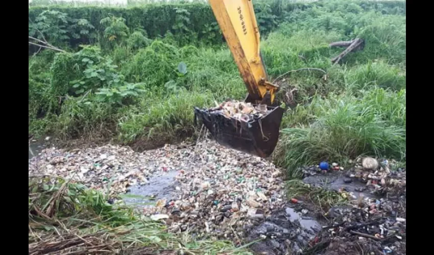 Hay mucha basura. Foto D. Sánchez