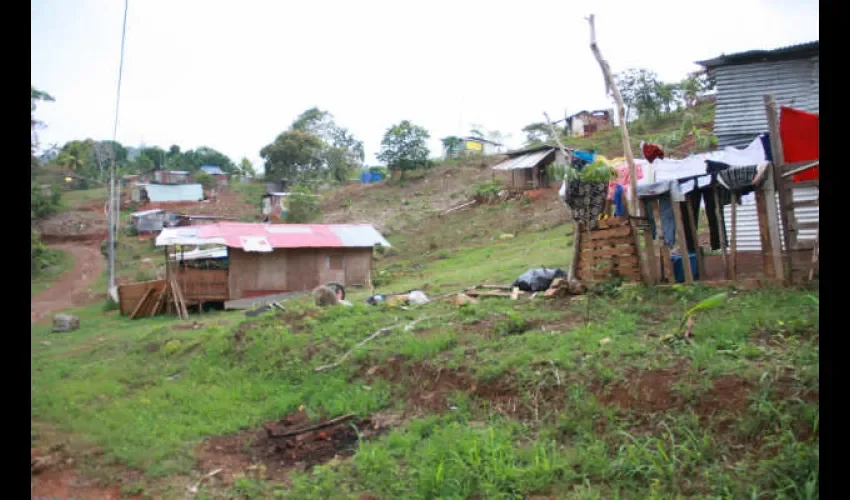 Invasores están por todos el país. Foto: Panamá América