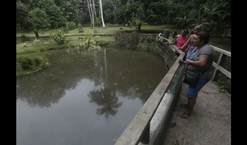 El parque Summit es muy visitado por extranjeros y niños. Foto: Epasa