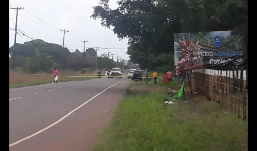  Otro ocelote fue encontrado muerto la mañana de este domingo 11 de noviembre. Foto: Tráfico Panamá