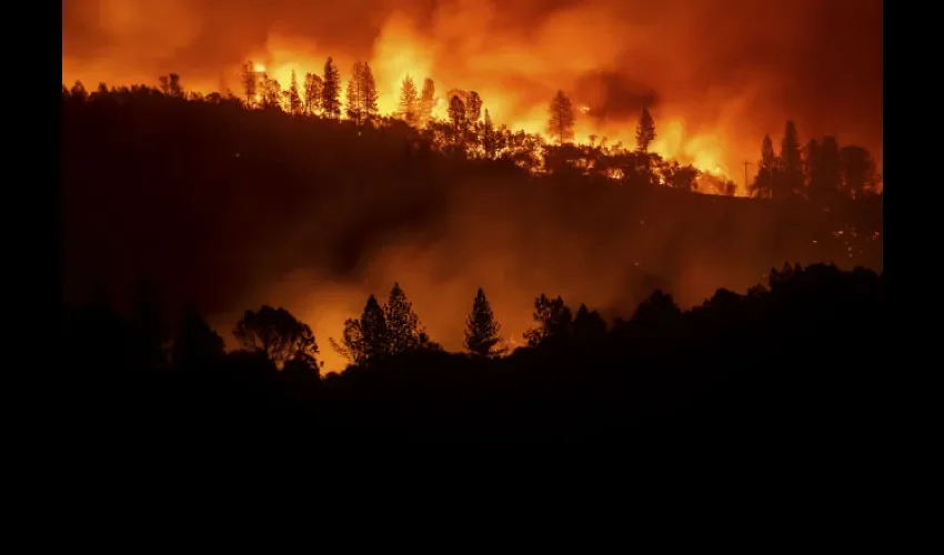 Miles de personas han sido evacuadas. Foto: AP