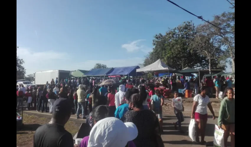 Naviferia del IMA en Panamá Oeste. 