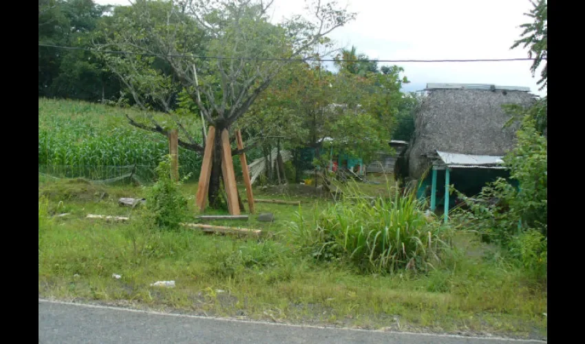 Las áreas de mayor cuidado son las casas cercanas a cultivos.