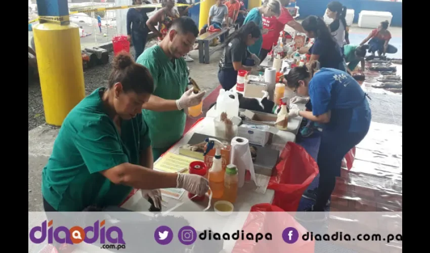 En la jornada de esterilización solo piden una donación a los dueños de las mascotas. Foto: Jesús Simmons