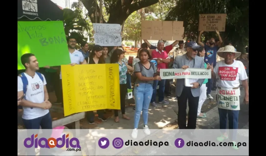 Ambientalistas quieren que se declare a isla Boná área protegida y zona de la vida y la fauna silvestre. Fotos: Jesús Simmons 