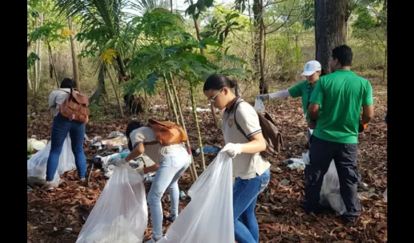 Foto ilustrativa de la recolecta de basura. 