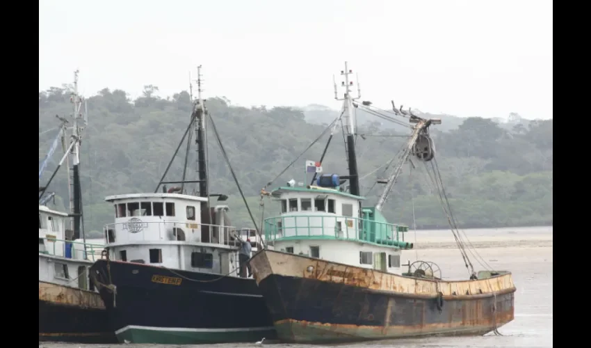 Foto ilustrativa de los barcos de promarina. 