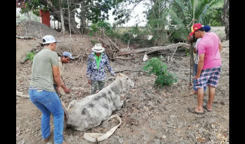 Foto ilustrativa de las fincas afectadas. 