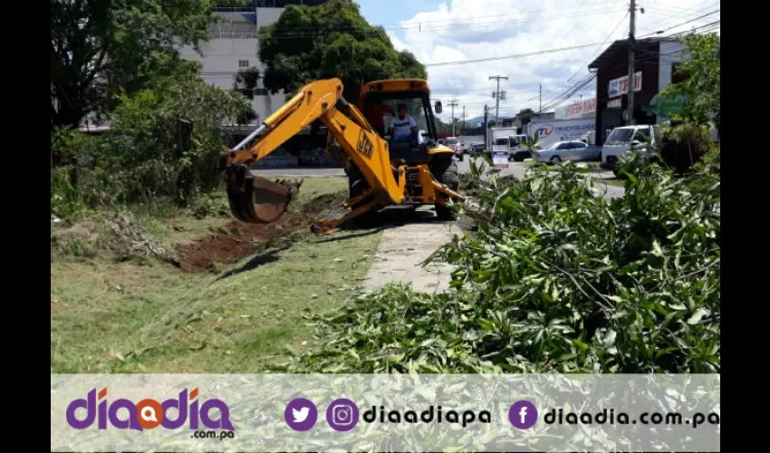 Se encontró demasiada basura en las calles. Foto: Ceidy iturralde