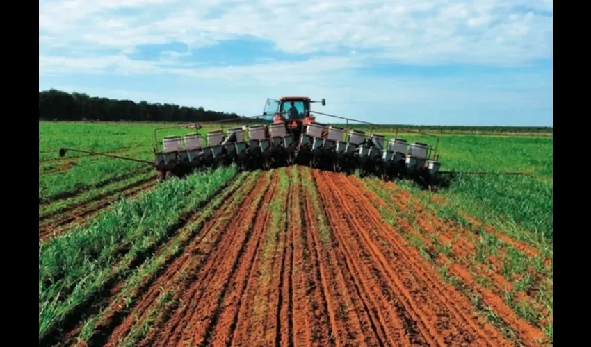 Foto ilustrativa del sector agro. Cortesía. 