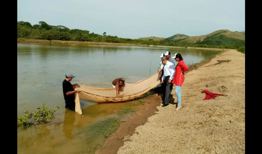 Foto ilustrativa de la inspección de la zona productora. 