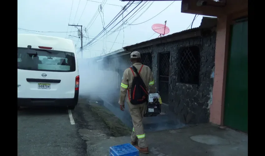 Foto ilustrativa del área fumigada. 