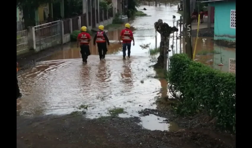 Foto ilustrativa del área afectada. 