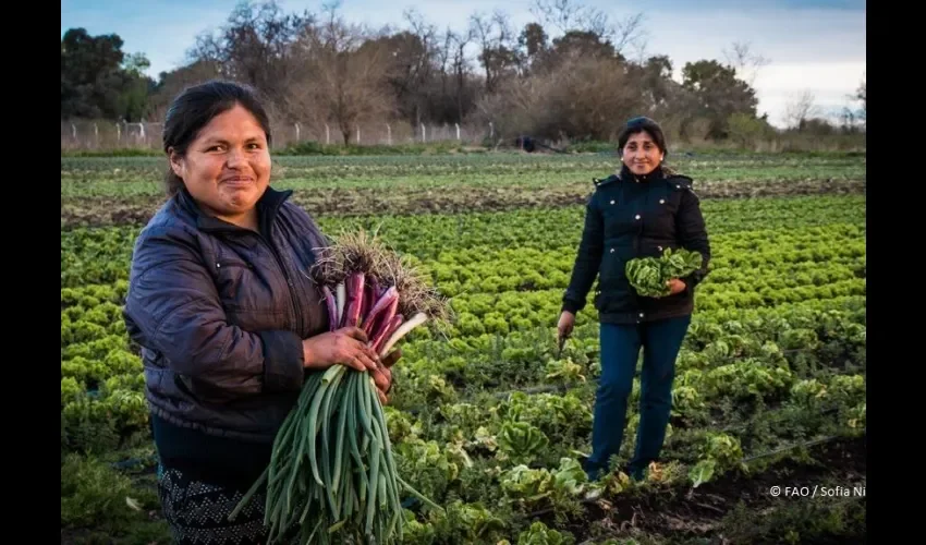 Foto ilustrativa de las trabajadoras. 