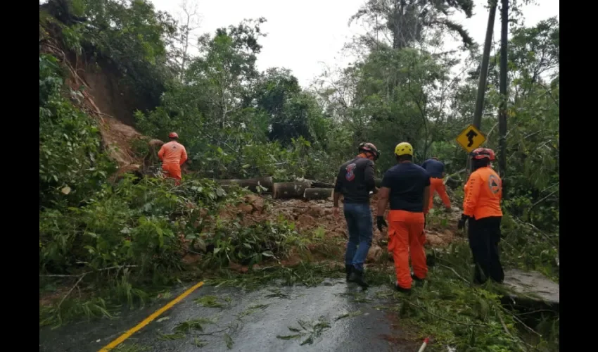 El Sinaproc en conjunto con la Junta Comunal de Chiguirí Arriba y una empresa privada.