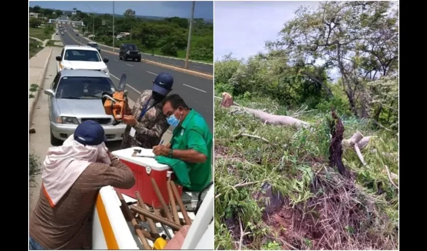 La acción fue repudiada por los moradores, quienes exigen sanciones. Fotos: Thays Domínguez. 