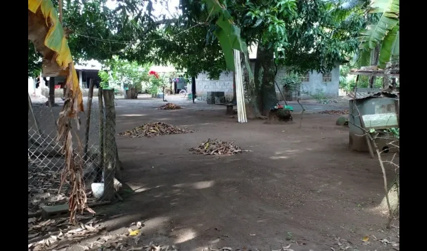 Viviendas inspeccionadas por las autoridades de salud. 