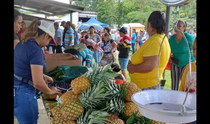 Las agroferias estarán iniciando desde las 8:00 a.m.