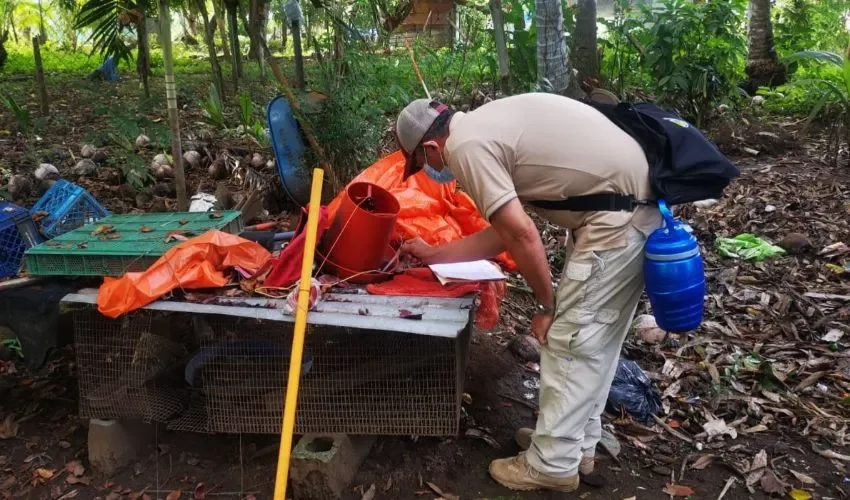 Los inspectores se mantienen alerta. 