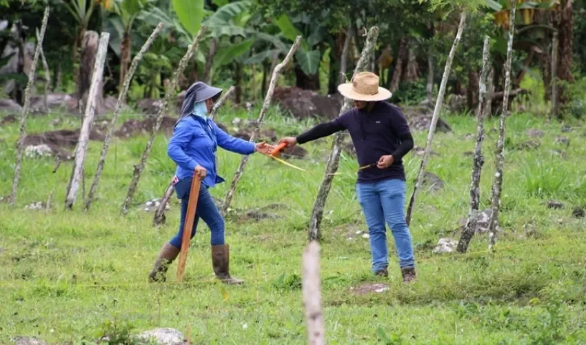 Con el tema de reforestación se espera ayudar la ambiente. 