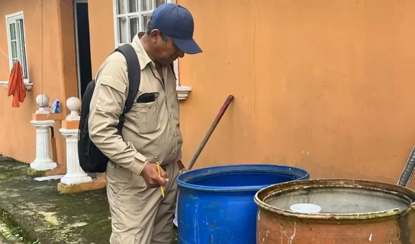 Los vectores se mantienen alerta. 