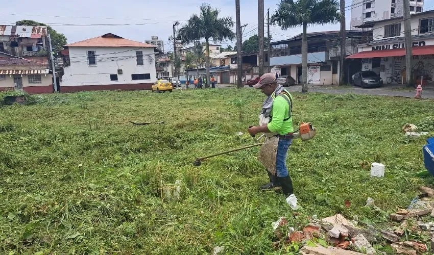 Los herbazales se convierten en depósitos de basura. 